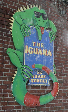 SIGN OF THE TIMES Iguana’s look is on the way out. SIGN OF THE TIMES Iguana’s look is on the way out.